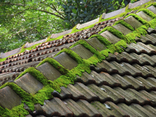 Démoussage de toiture à Saint-Martin-de-Brômes